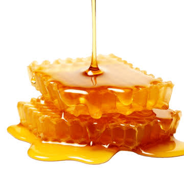 Compact Organic Honey 134