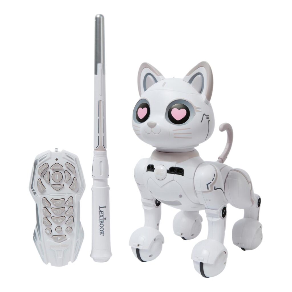 Everyday Cat Toy 018